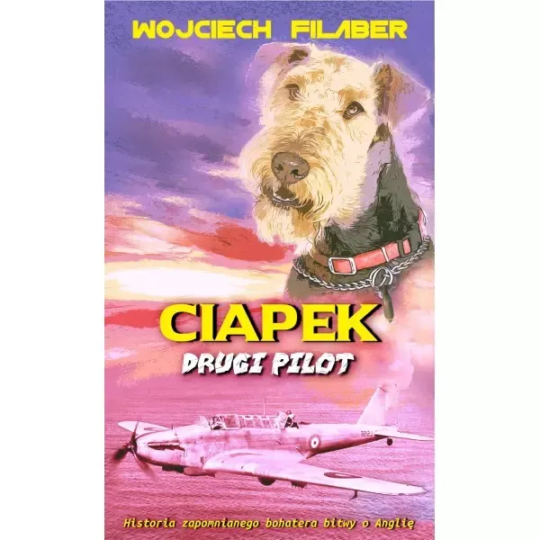 Ciapek drugi pilot zdjęcie 1