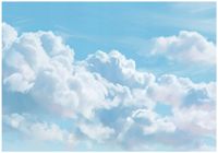 Fototapeta Na Flizelinie Do Sypialni Salonu Chmury 250x175