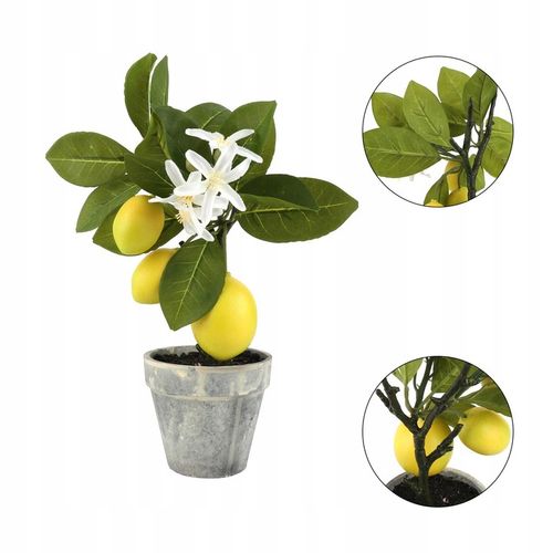 Sztuczne drzewko bonsai cytrynowe do dekoracji wnętrz i imprez na Arena.pl