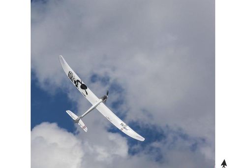 E-flite Night Radian 2.0m BNF Basic na Arena.pl