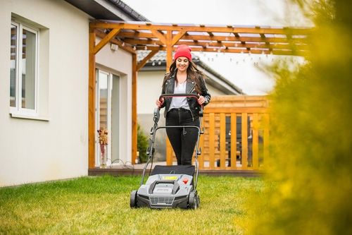 AERATOR WERTYKULATOR ELEKTRYCZNY LEHMANN DO TRAWY REGULACJA Z KOSZEM 2600W na Arena.pl