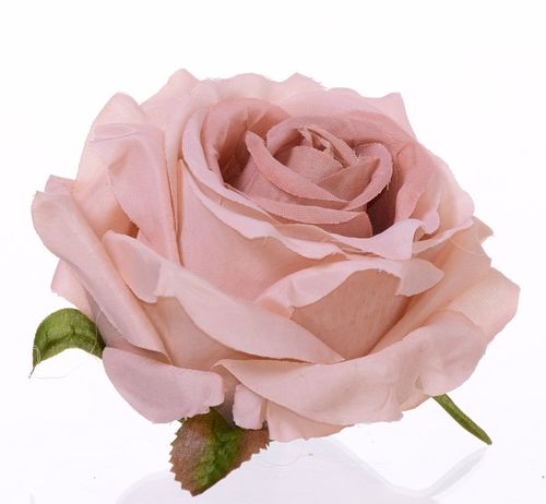 Róża wyrobowa cappucino 8cm na Arena.pl