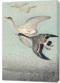 Obraz 70x100cm Great Geese in Flight, Koson Japoński Vintage do Salonu