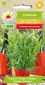 Estragon nasiona 0,1 g. zioła na Arena.pl