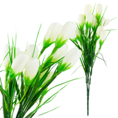 CV27023-1 KROKUSY BIALE