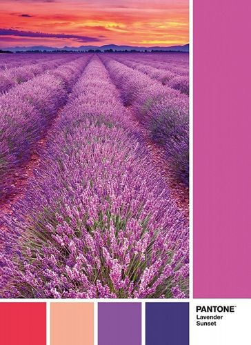 Puzzle 1000 elementów Pantone - Vivid Viola na Arena.pl