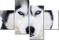 140CM 70 OBRAZ HUSKY ŚCIENNY