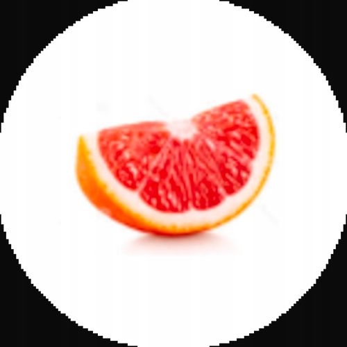 Wyciskarka do Cytrusów SCP600 THE CITRUS PRESS na Arena.pl