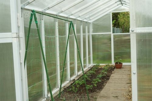 Tyczka Podpora Palik do Pomidorów Roślin Kwiatów 1,1 x 150 cm 10 szt na Arena.pl