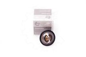 Termostat RENAULT SANDERO/STEPWAY II 2014 2015 2016 2017 2018