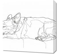 Obraz 50x50cm Śpiący Psiak