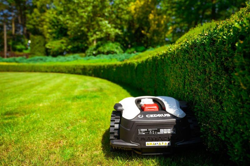 CEDRUS M6+ ROBOT KOSZĄCY KOSIARKA AUTOMATYCZNA DO TRAWY C-MOW 600m2 - OFICJALNY DYSTRYBUTOR - AUTORYZOWANY DEALER CEDRUS zdjęcie 80