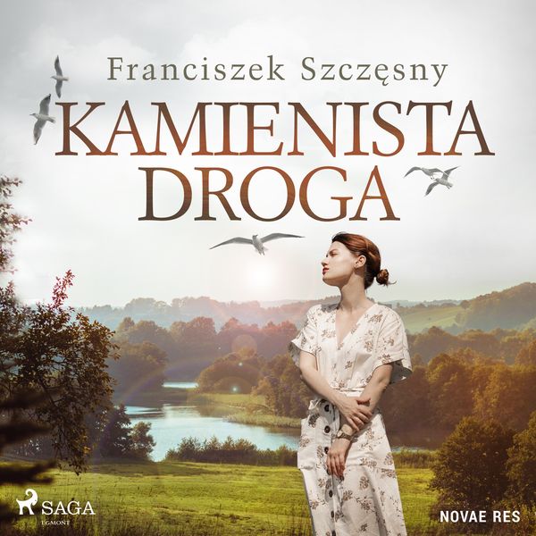 (mp3) Kamienista droga zdjęcie 1