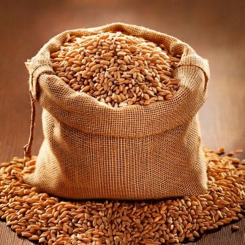 Słód żytni  3-8 EBC Weyermann 1 kg na Arena.pl