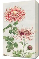 Obraz 30x50cm Kiku, Morikaga Japoński Vintage do Salonu