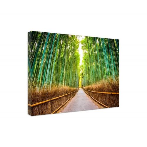 Obraz na płótnie - Canvas, Las bambusowy 120x80 na Arena.pl
