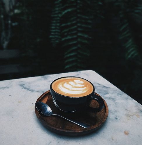 Odkamieniacz w płynie do ekspresu Nivona 500ml na Arena.pl