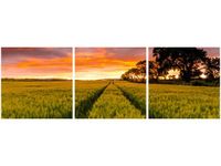 90 80CM OBRAZ T3 ELEM FAR FAR AWAY JONATHAN COMBE DRUK ŚCIENNY