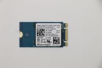 Lenovo SDK 1101 256G M.2 PCIe 2242 SS, 01FR578