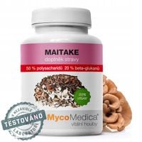 MAITAKE ekstrakt 50% GRZYBY żagwica listkowata