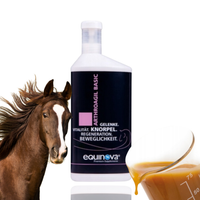 Equinova Suplement Na Stawy Dla Koni Arthroagil Basic Liquid 1L