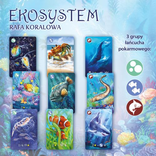 Gra Eko System 2 Rafa Koralowa na Arena.pl
