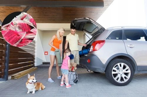 MOCNA SILNA TRUTKA NA SZCZURY MYSZY CZERWONA PASTA BROMADIOLONE NO na Arena.pl