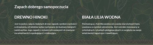 Tesori D`oriente Żel Pod Prysznic Forest Ritual 25 na Arena.pl