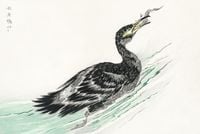 Plakat 60x40cm Cormorant, Kashu Japoński Vintage do Salonu