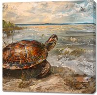 product-compare-59510378