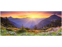 product-compare-58645118