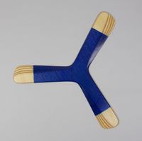 Cicholot Niebieski bumerang powracający praworęczny