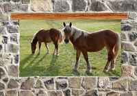 product-compare-62143679