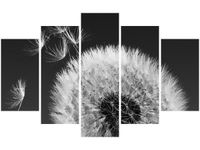 70 100CM OBRAZ 5 ELEM DMUCHAWIEC GEMMA STILES DRUK PŁÓTNO