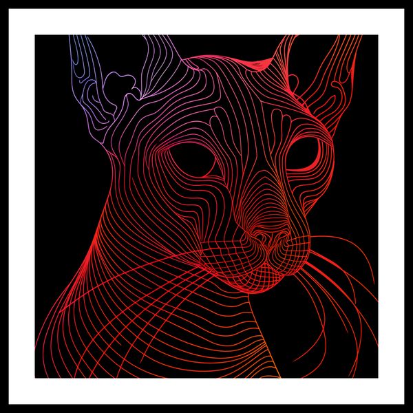 Plakat 40x40cm Cyfrowa Kocica zdjęcie 3