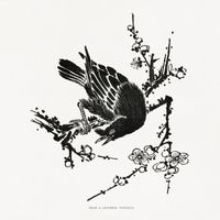 product-compare-59641413