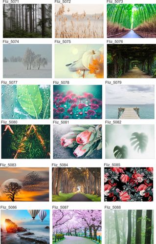 Fototapeta RAJSKI MOST DREWNIANY OCEAN 390x280 na Arena.pl