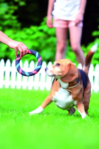 Płotek Palisada Ogrodowa 3,2m IPŁSU Brązowa na Arena.pl