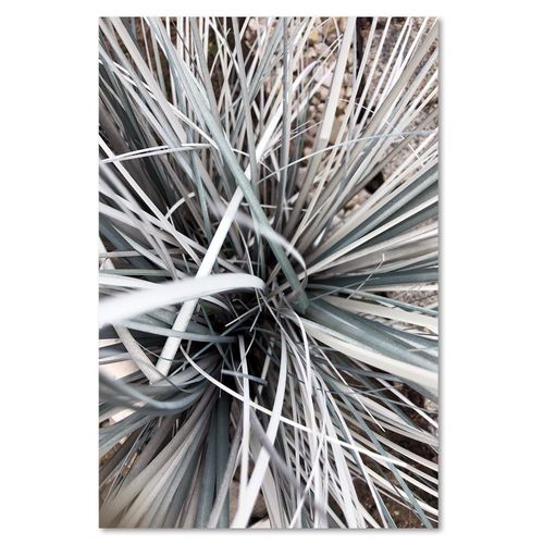 Deco Panel, Trawa dekoracyjna 40x60 na Arena.pl