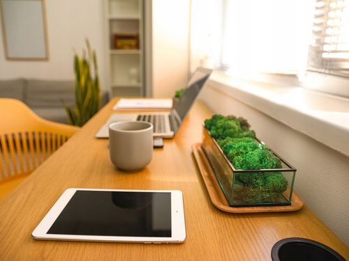 Mech CHROBOTEK RENIFEROWY fiński 500g ŚCIÓŁKA jasno zielony na Arena.pl