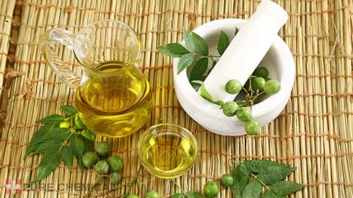 OLEJEK NEEM DO ROŚLIN NIERAFINOWANY NATURAL 500ml na Arena.pl