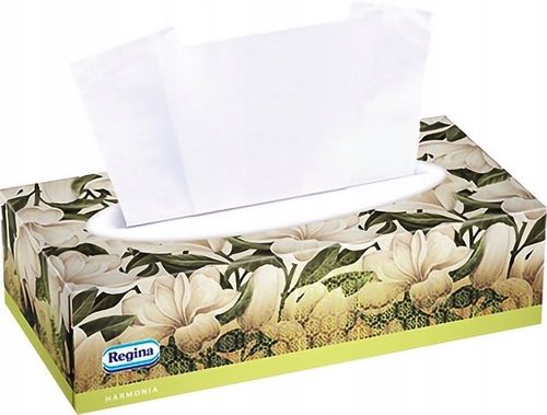 CHUSTECZKI BOX REGINA na Arena.pl