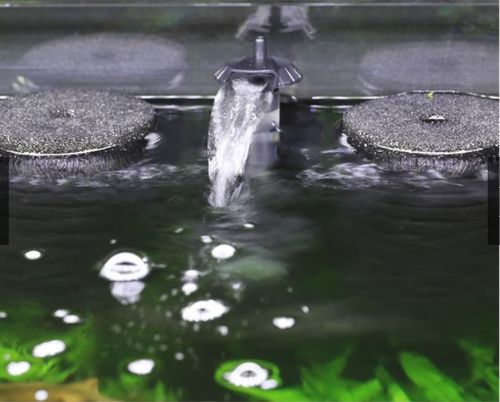 FILTR GĄBKOWY AKWARYSTYCZNY Z POMPĄ WODY AKWARIUM na Arena.pl