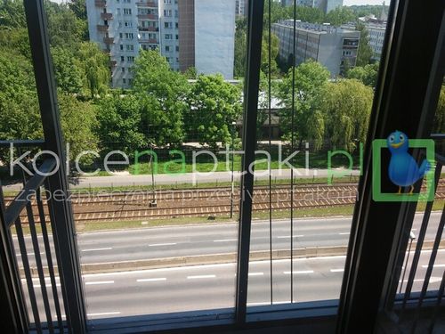 Siatka 3x4 przezroczysta dla kota, przeciw ptakom na Arena.pl