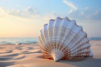 Plakat 60x40cm Echo Morza