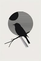 Plakat 61x90,5cm Kontrast Smukłości