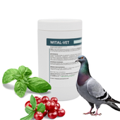 WITAL-VET WITALNOŚĆ APETYT I ZDROWIE GOŁĘBI 500 g