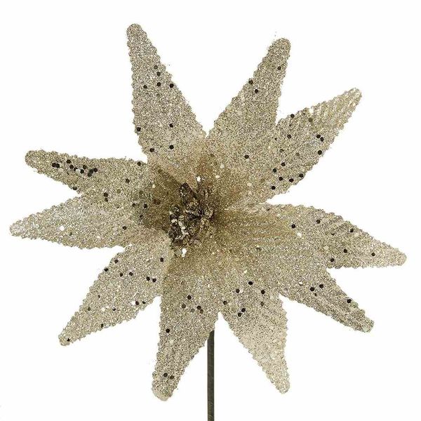 SW/KW/EDEN/JZŁOT zdjęcie 2