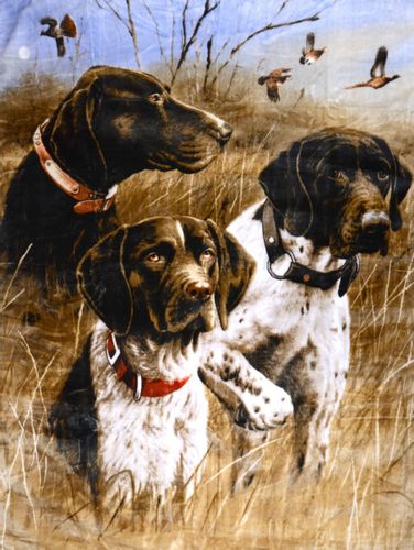 Gruby Koc Akrylowy 160X210 Psy 17489 na Arena.pl