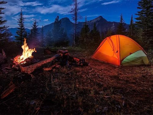 SZPILKI DO NAMIOTU MOCUJĄCE ŚLEDZIE KOTWY STAL 31CM 10SZT HAK HACZYK KOŁKI na Arena.pl